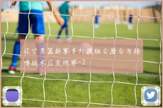 辽宁男篮新赛季外援组合磨合与杨鸣战术应变观察