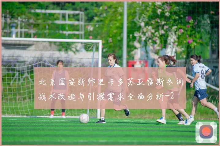 北京国安新帅里卡多苏亚雷斯冬训战术改造与引援需求全面分析