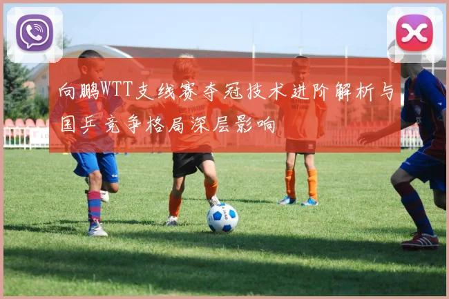 向鹏WTT支线赛夺冠技术进阶解析与国乒竞争格局深层影响