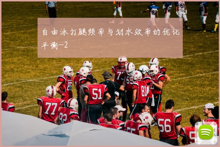 自由泳打腿频率与划水效率的优化平衡