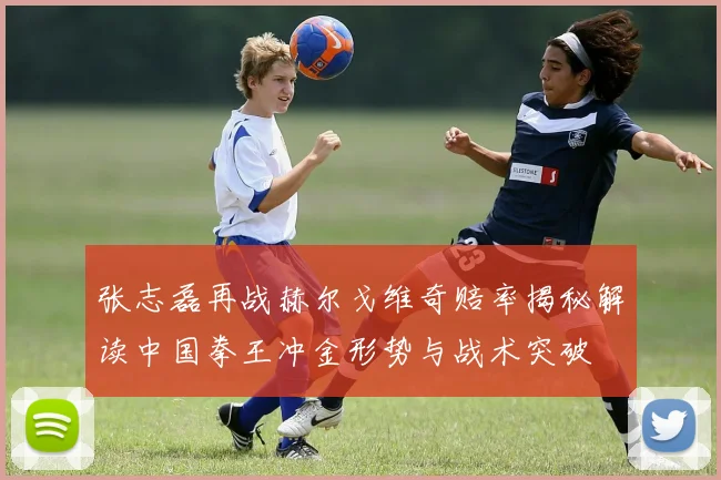 张志磊再战赫尔戈维奇赔率揭秘解读中国拳王冲金形势与战术突破