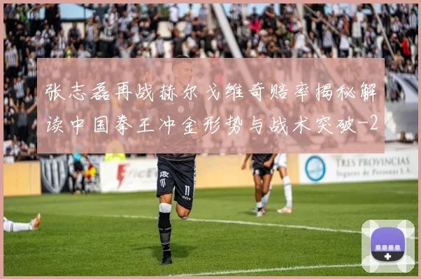张志磊再战赫尔戈维奇赔率揭秘解读中国拳王冲金形势与战术突破